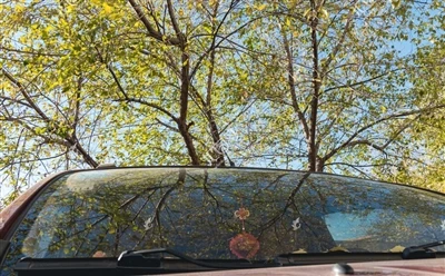 車のフロントガラスが傾いているのはなぜですか?