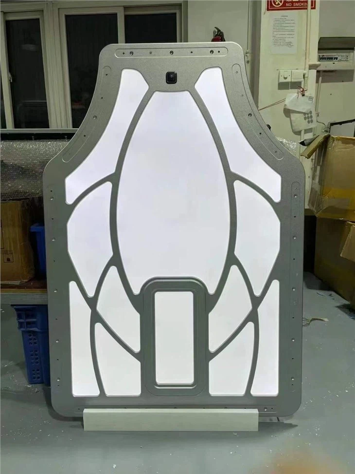 Toyota Sienna Luxury Styling Interior Roof Light