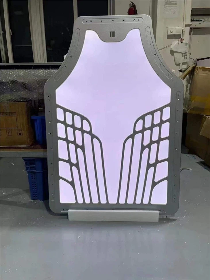 Toyota Sienna Luxury Styling Interior Roof Light