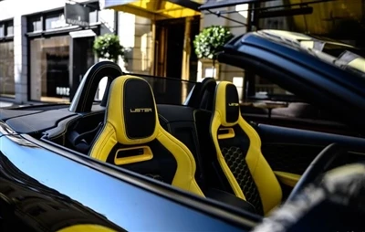 ダンシング・ウィズ・ザ・デビルズ・ジャガー 改造車リスターLFT